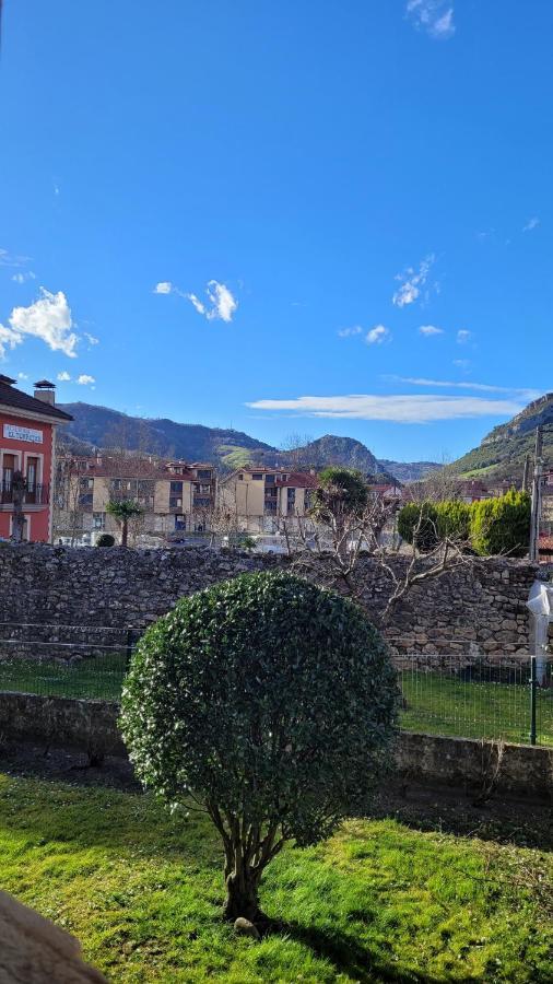 Casa Rural El Torrejon 阿里纳斯·德·卡伯瑞勒斯 外观 照片