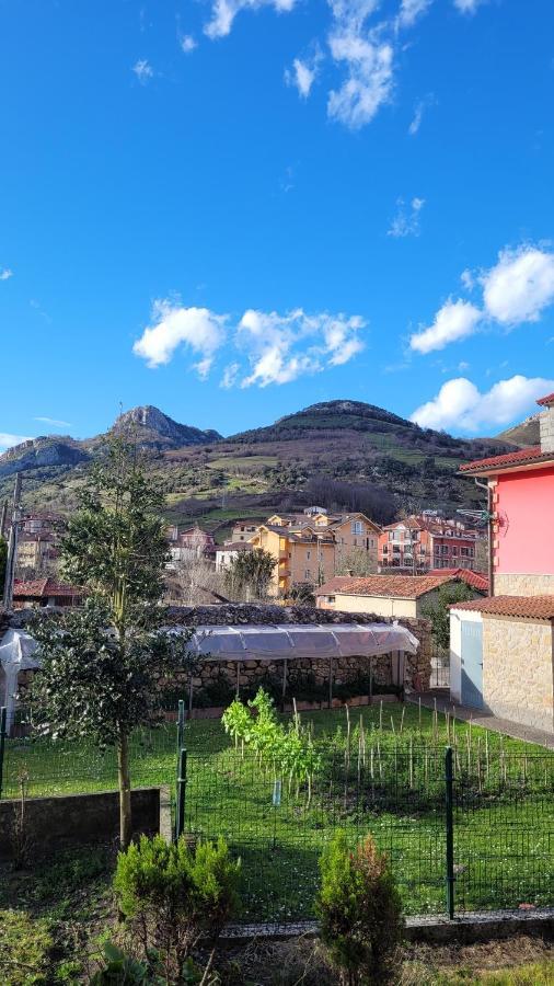 Casa Rural El Torrejon 阿里纳斯·德·卡伯瑞勒斯 外观 照片