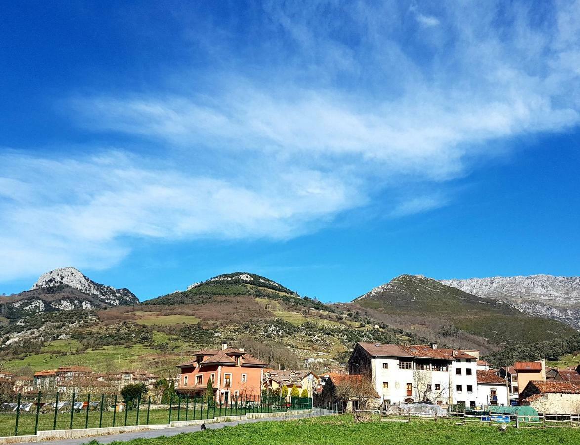 Casa Rural El Torrejon 阿里纳斯·德·卡伯瑞勒斯 外观 照片